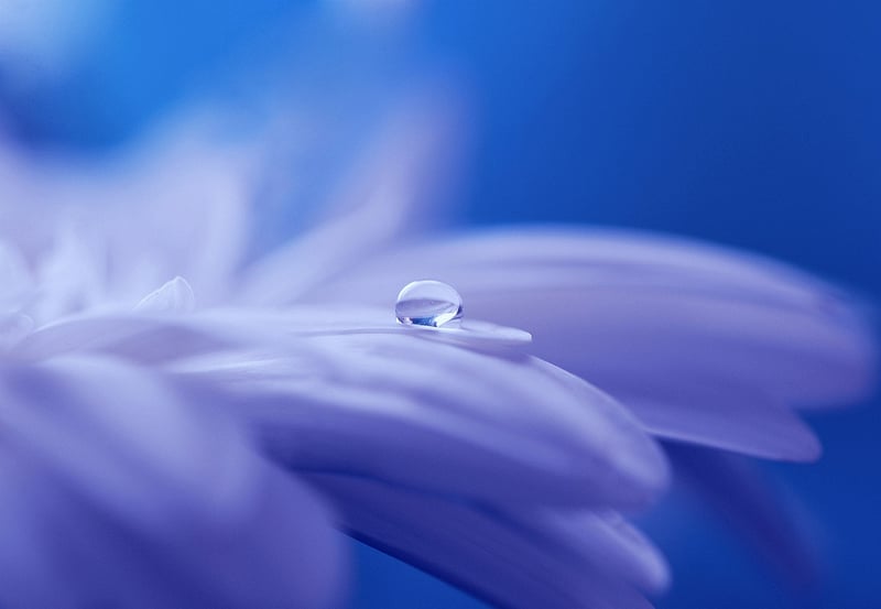 Whispered Stories Image